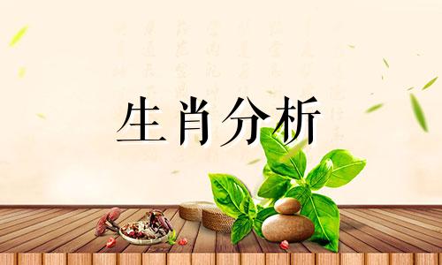 2017年属猴的几月出生最好