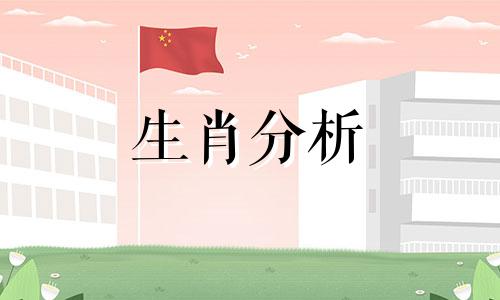 塔罗奥义2017年2月生肖猪运势如何