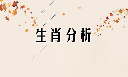 塔罗奥义2017年2月生肖龙运势如何