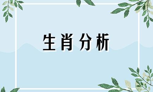 12月，这些生肖会踩狗屎运吗