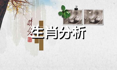 泓翔老师2017年1月生肖虎人际关系