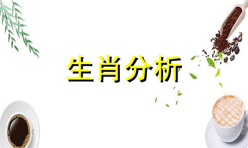 2017年十二生肖每月运势 20176年属什么生肖