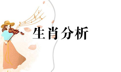 2016年狗人的全年运势如何