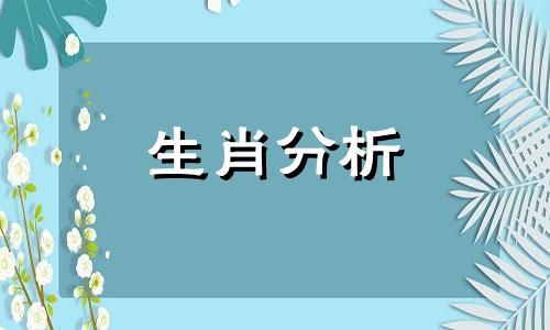 1977年属蛇人2017年运势运程