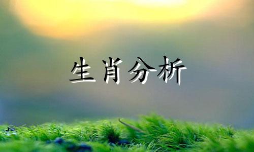 郑博士：五月份感情会