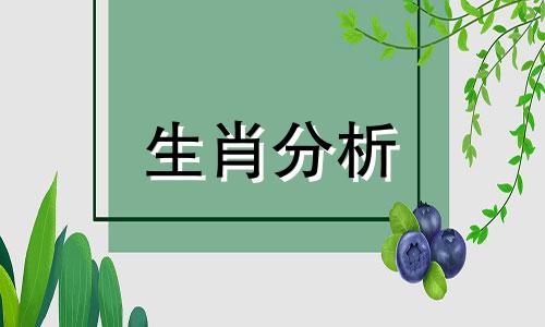 张鑫龙2021年3月16日生肖运势