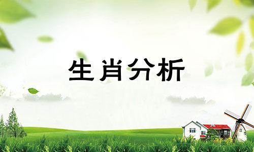 郑博士2015年10月12生肖桃花运预先报