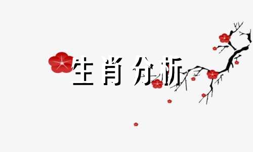 1988年属龙的人2016年运程大全及破解生肖