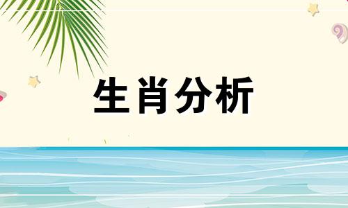 1995年属猪的人2016年运程