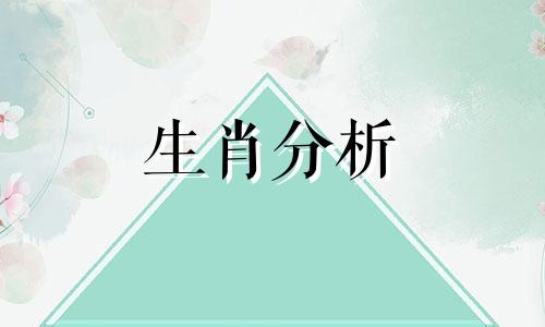 2024年2月出生的宝宝属什么生肖