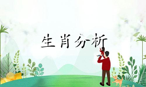 属龙的今年多大2023年今年多大