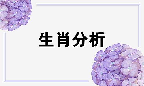 虎年生宝宝旺财运的生肖是什么