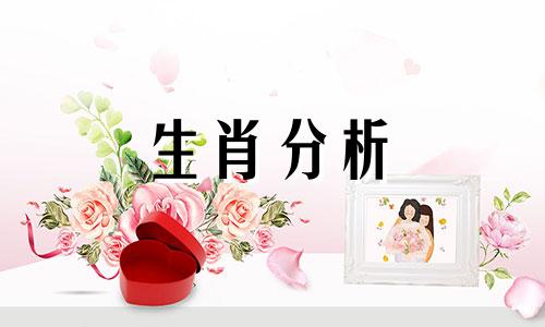 爱情大赢家的生肖女是谁 爱情大赢家电影