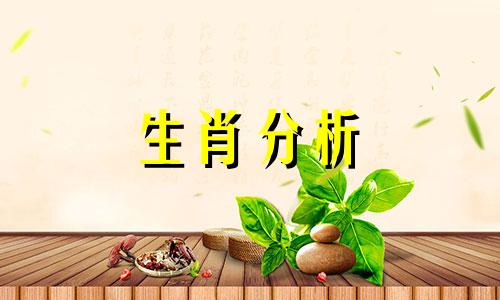 越老越享福的生肖女是什么