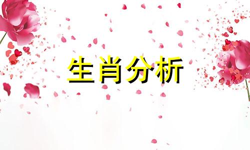 2021年正月初四出生的人是什么命