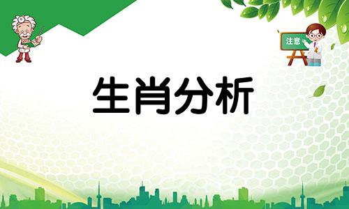 最有责任感的3大生肖是什么