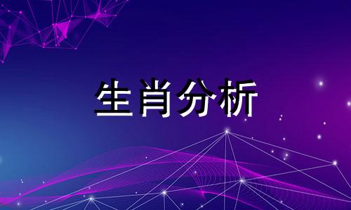 这些生肖被人利用的动物 什么生肖容易被利用