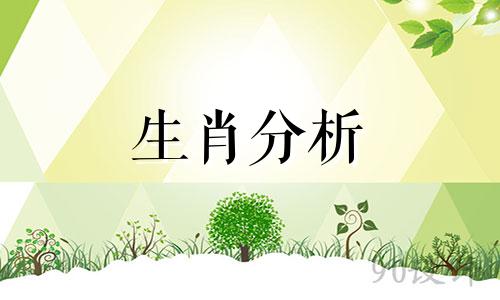 放弃高薪工作回乡创业的素材