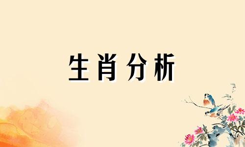 明年是什么年2019年属什么生肖呢女孩