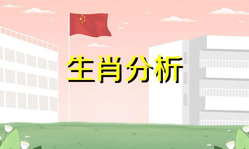 职场上个性务实内心强大的四大生肖是什么