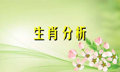 总能涌现新奇古怪的点子的五大生肖是什么