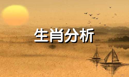 创业福气特旺财运极佳的四大生肖是什么