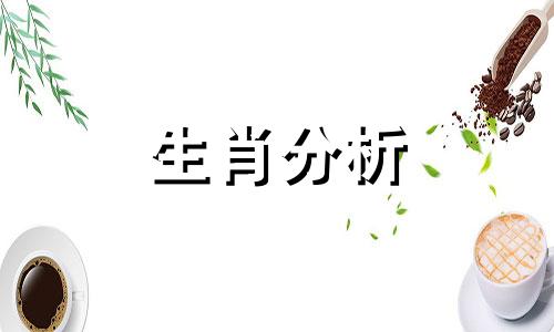 最让十二生肖招架不了的小动作有哪些