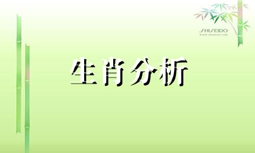 职场上会按自己想法走到底的生肖是什么