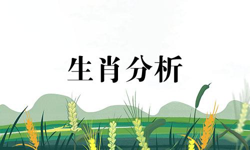 不管多艰难都会努力去追求爱情的生肖是什么