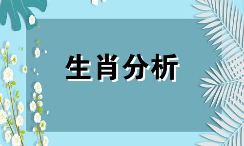 这些生肖因为一时冲动而死