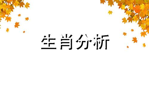 每年都会制定理财计划的生肖有哪些