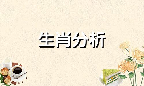 能从多角度分析情感问题的生肖是什么