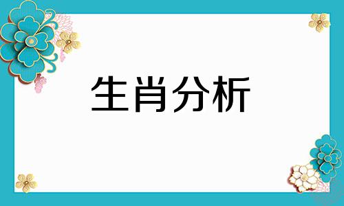 什么生肖最会赚钱懂得奋斗呢