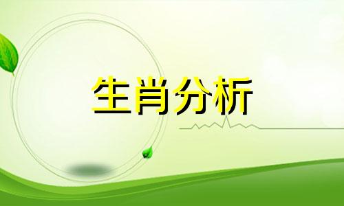 十二生肖在什么方面会让你很暖心呢