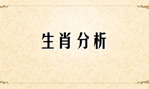 这三大生肖能给伴侣带来足够的安全感吗