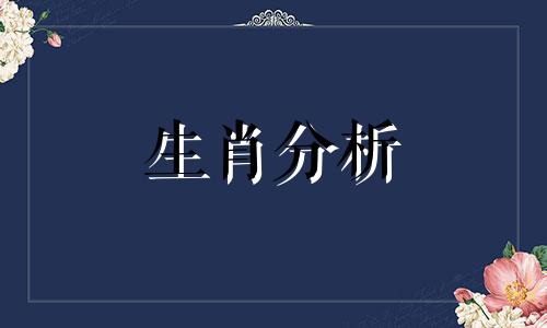 心思已经完全不在工作上的生肖是什么