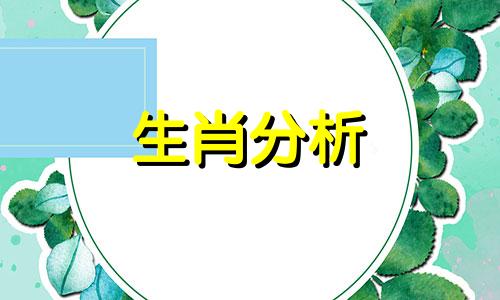 身高不够颜值来凑的生肖是什么