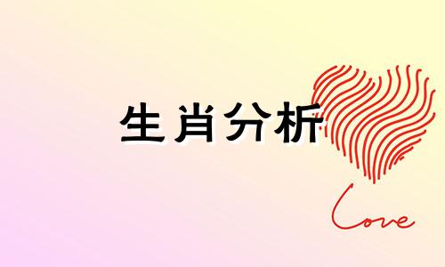 感情里这些生肖会无休止的付出