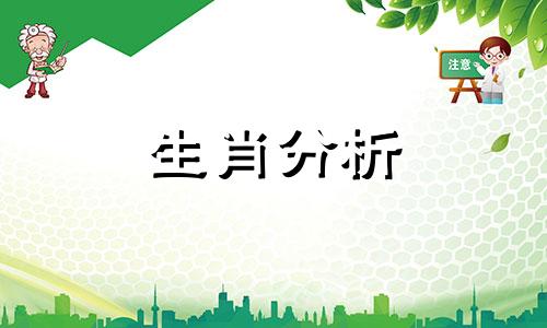 用什么来表示华而不实的行为