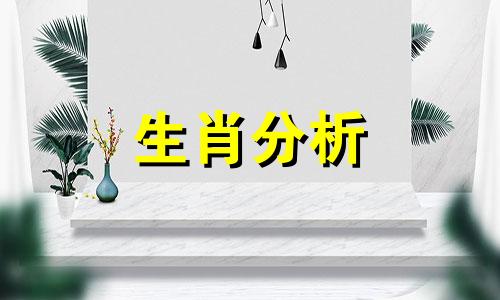 相信世间有真爱的三大生肖是什么