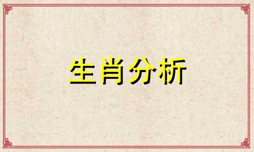 做任何事情都懂得换位思考的生肖是什么