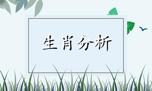 这些生肖男遇到真爱总是怂了怎么办