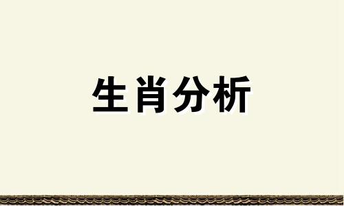 想追这些生肖女你只要足够有钱就可以了吗