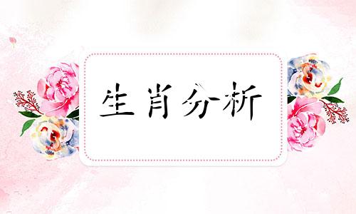 外表温柔内心狂野词语 外表温和内心凶残