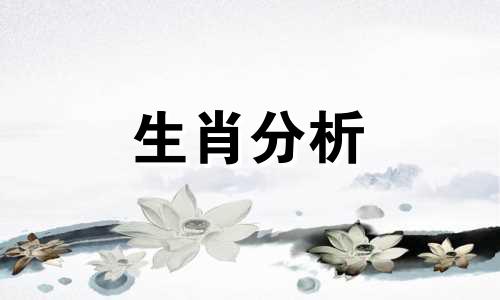 花呗提供春运火车票免息补贴