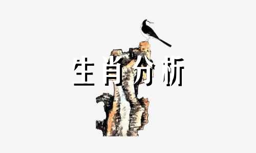 容易在爱情里迷失自己的三个生肖是什么