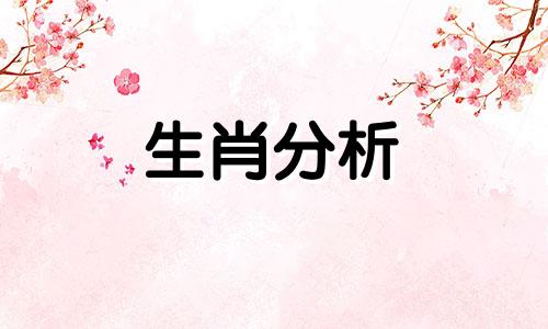 想追女神却不会行动的生肖男是什么