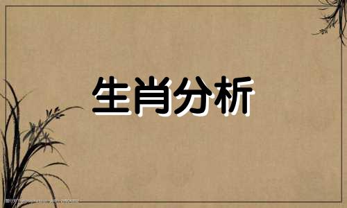 生肖相冲怎么化解转运 上梁时辰与生肖相冲怎么化解