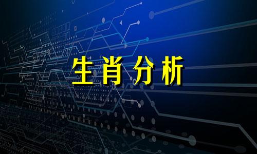 十二生肖容易遭别人利用的缺点是什么