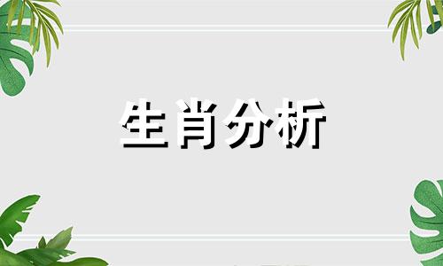 十二生肖男何时在女友眼中最帅呢